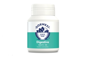 Dorwest - Digestive Supplement Tablets