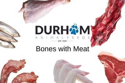 Bones with Meat