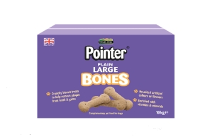 Pointer - Large Bones